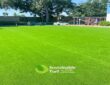 Artificial Grass for Football Fields