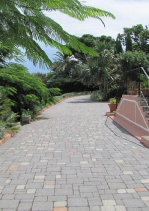 Paver Driveways